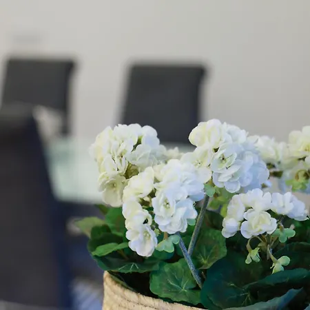 Abegorias Apartman